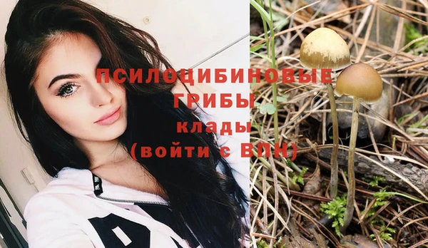 гидра Абинск